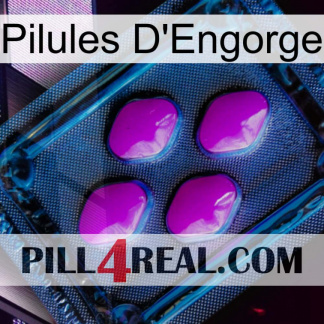Engorge Pills 04